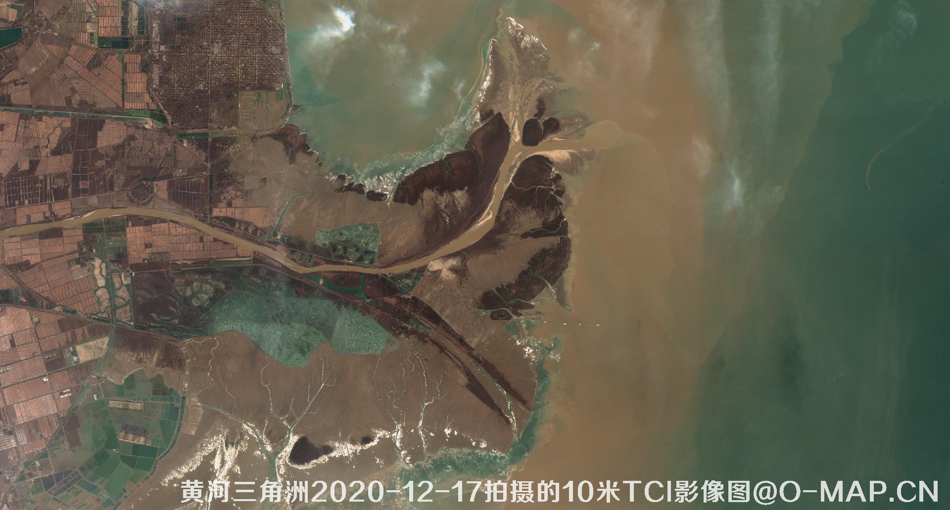 黄河三角洲2020年各个月份10米TCI真彩色影像图片