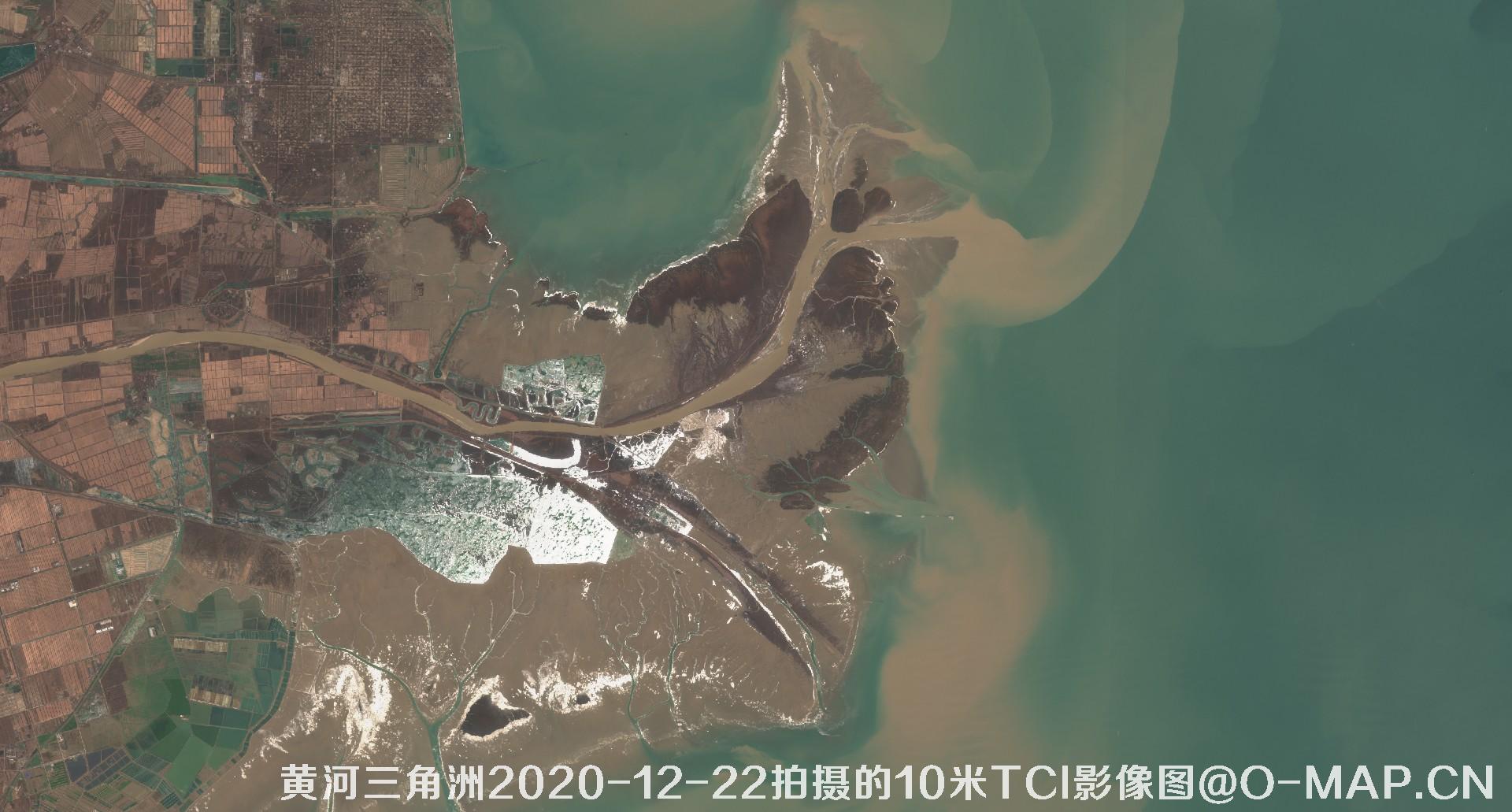 黄河三角洲2020年各个月份10米TCI真彩色影像图片