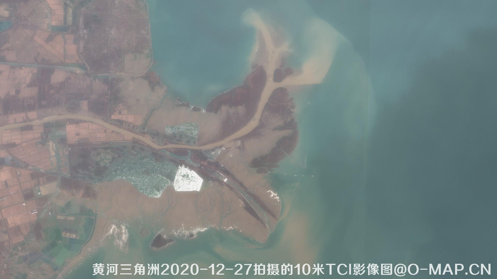 黄河三角洲2020年各个月份10米TCI真彩色影像图片