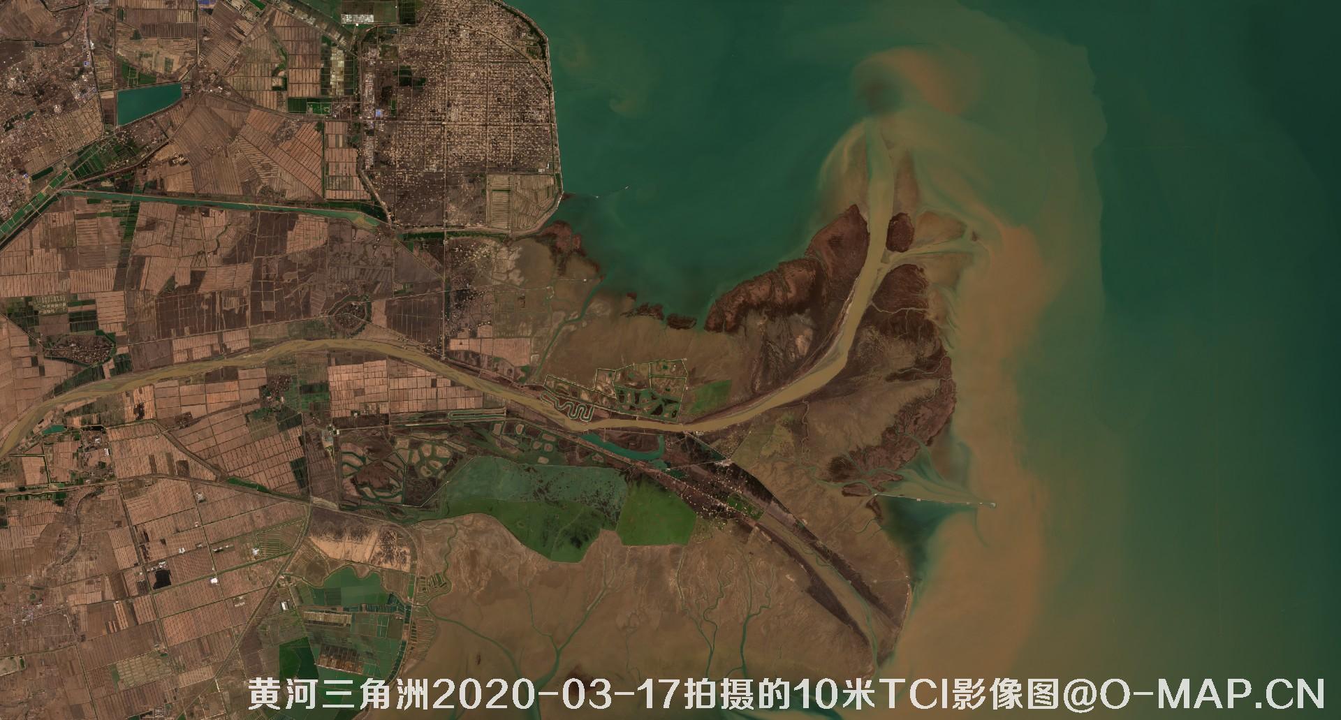 黄河三角洲2020年各个月份10米TCI真彩色影像图片