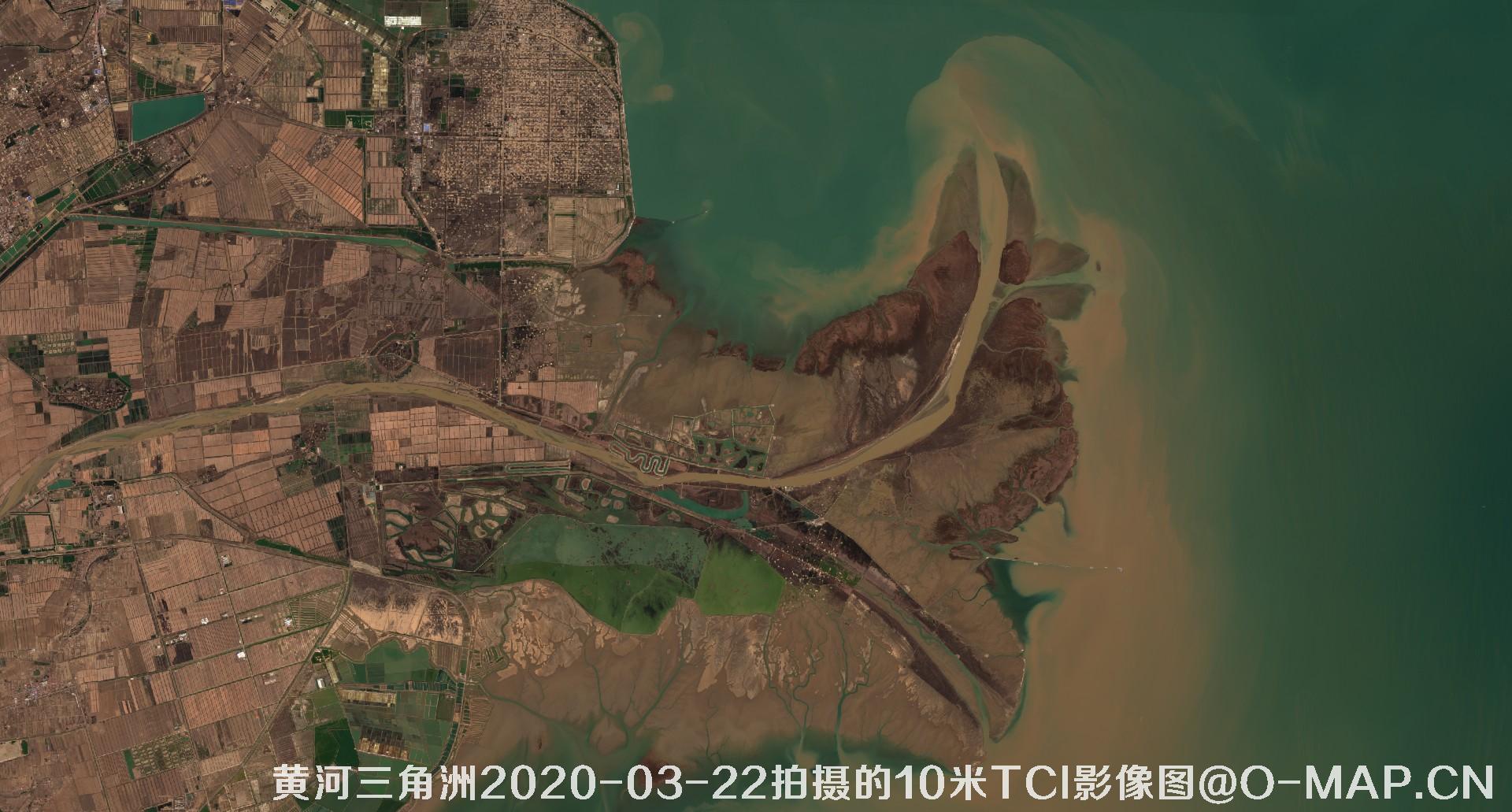 黄河三角洲2020年各个月份10米TCI真彩色影像图片