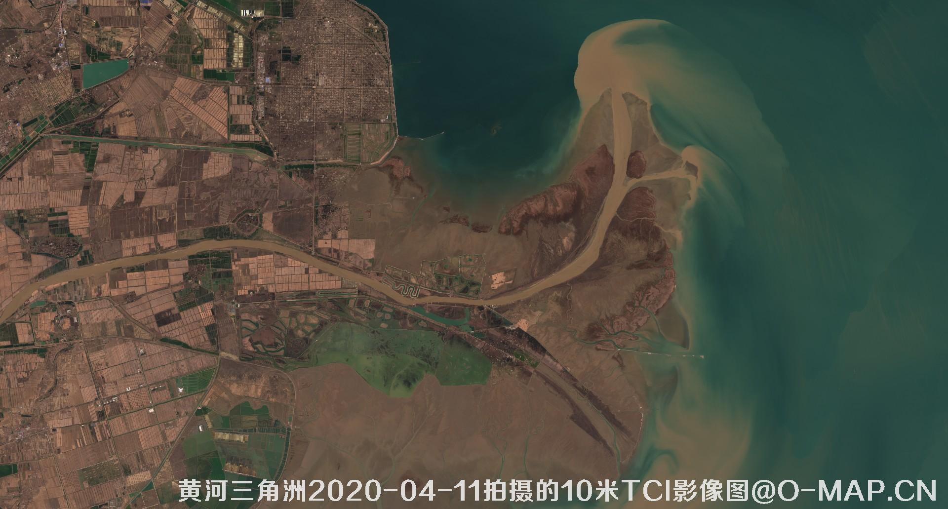 黄河三角洲2020年各个月份10米TCI真彩色影像图片