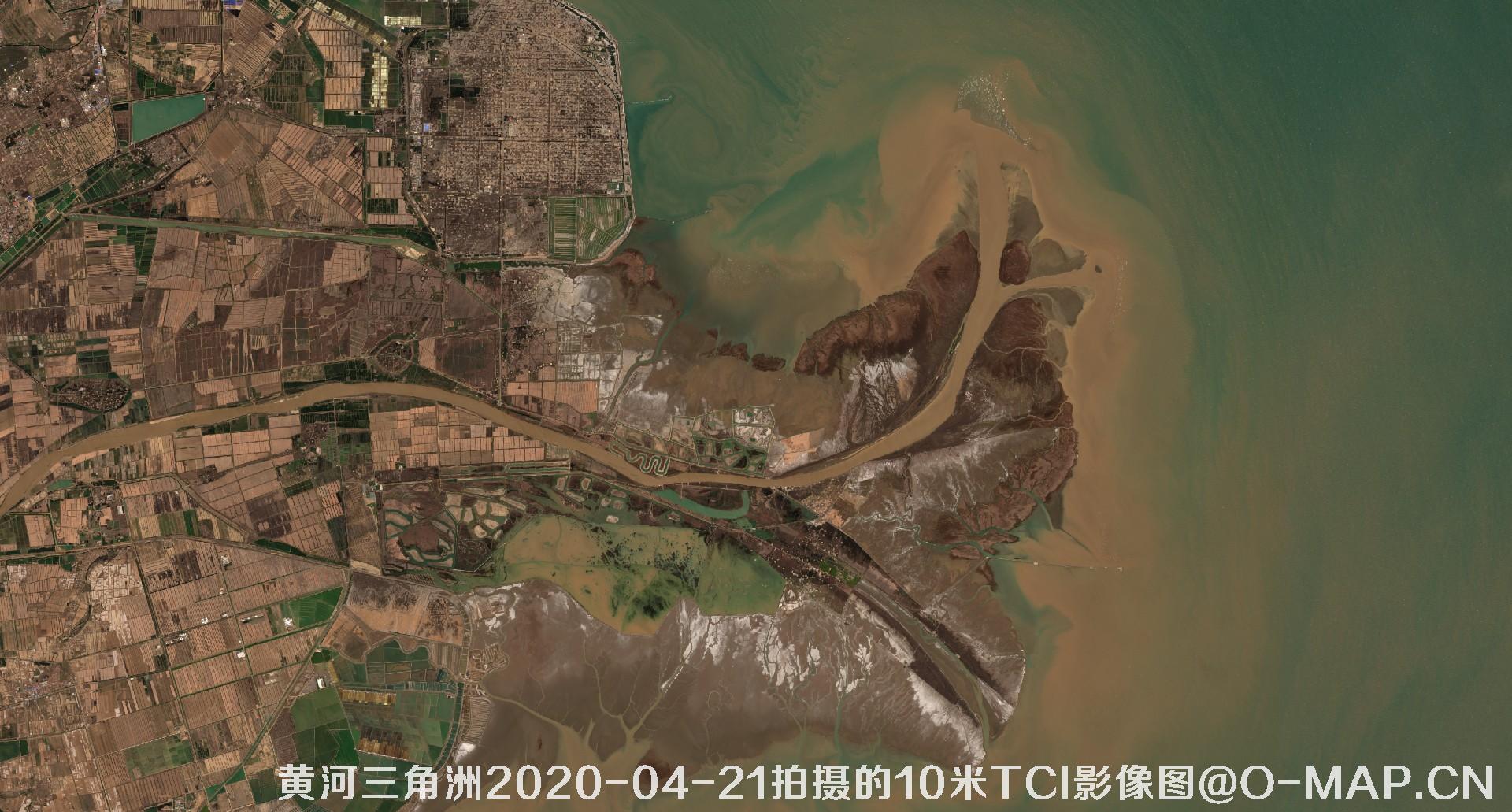 黄河三角洲2020年各个月份10米TCI真彩色影像图片