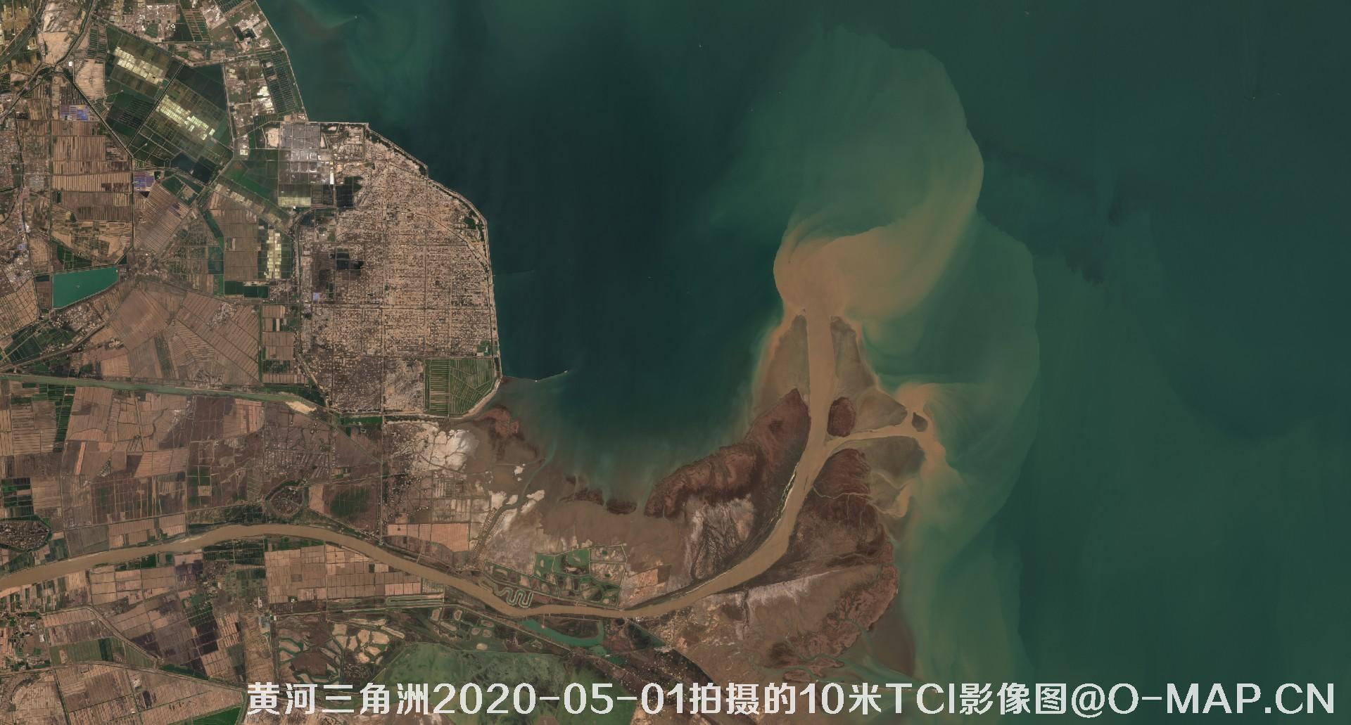 黄河三角洲2020年各个月份10米TCI真彩色影像图片