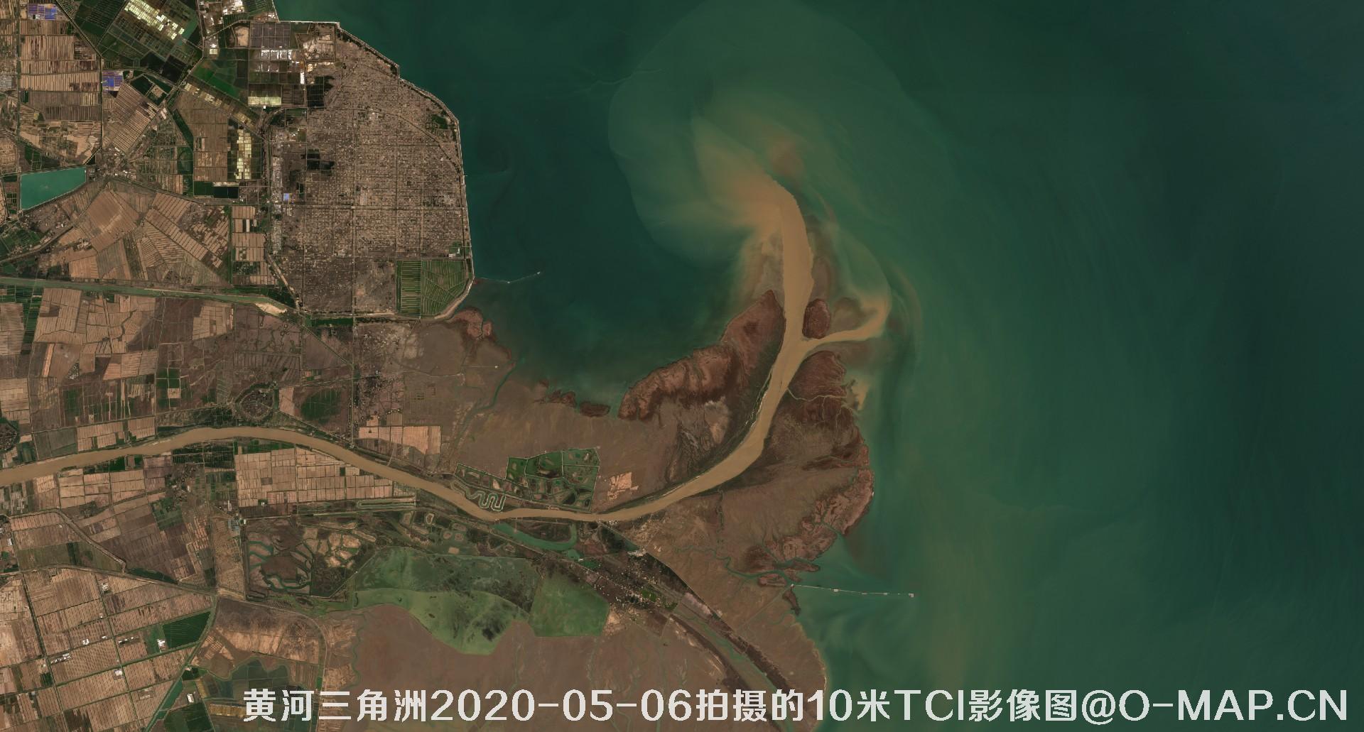 黄河三角洲2020年各个月份10米TCI真彩色影像图片