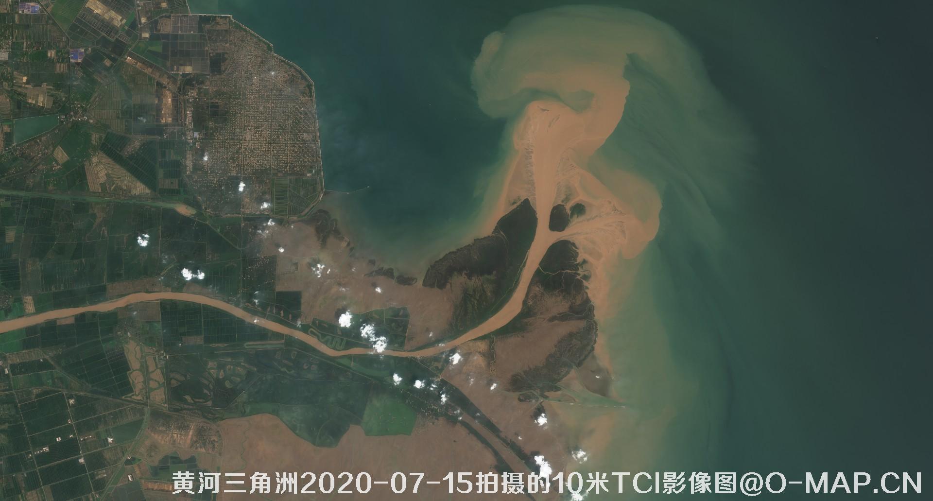 黄河三角洲2020年各个月份10米TCI真彩色影像图片