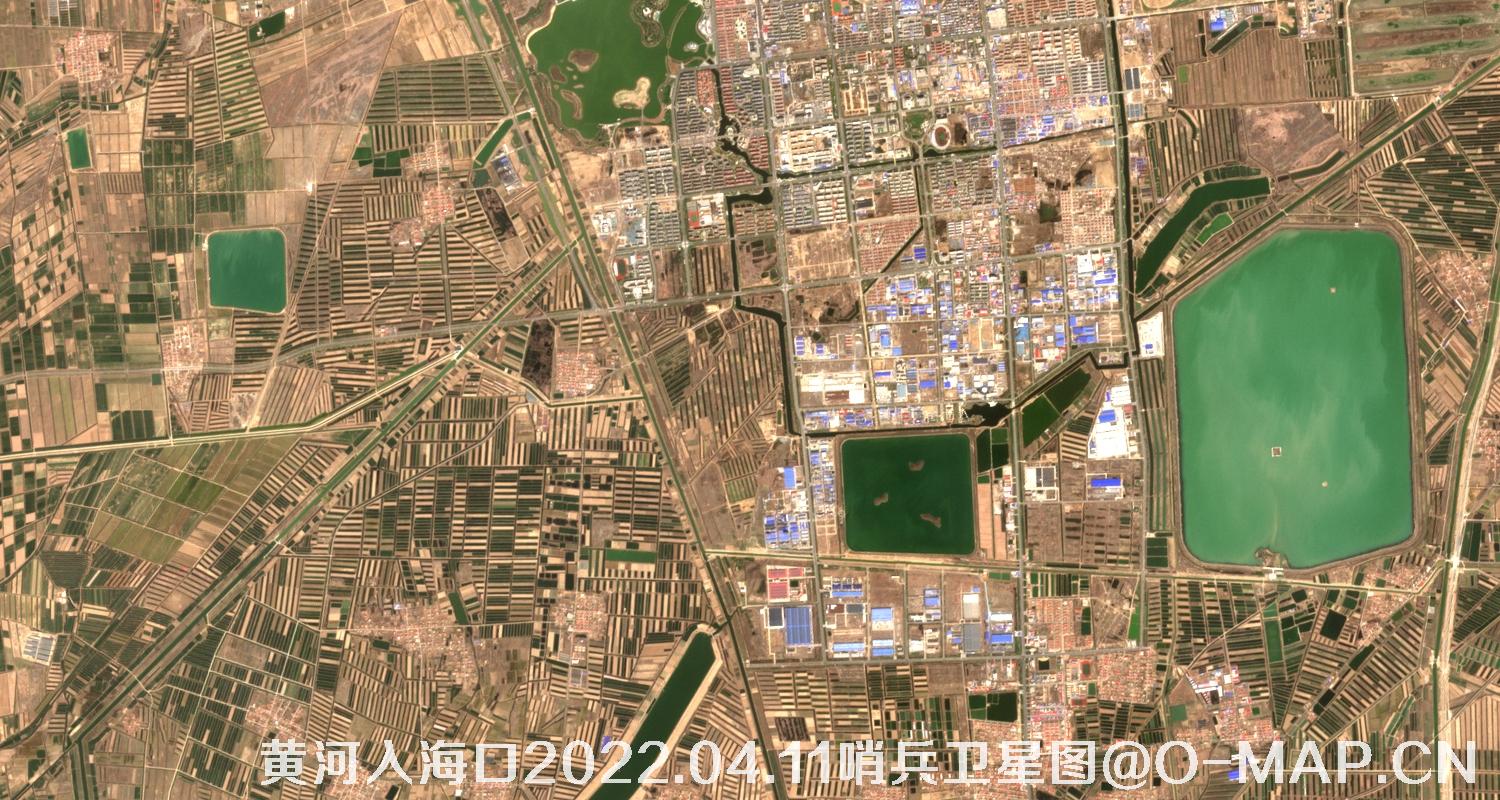 黄河入海口-山东省东营周边2022.04.11哨兵卫星图像