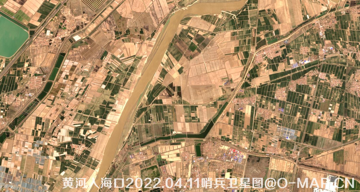 黄河入海口-山东省东营周边2022.04.11哨兵卫星图像