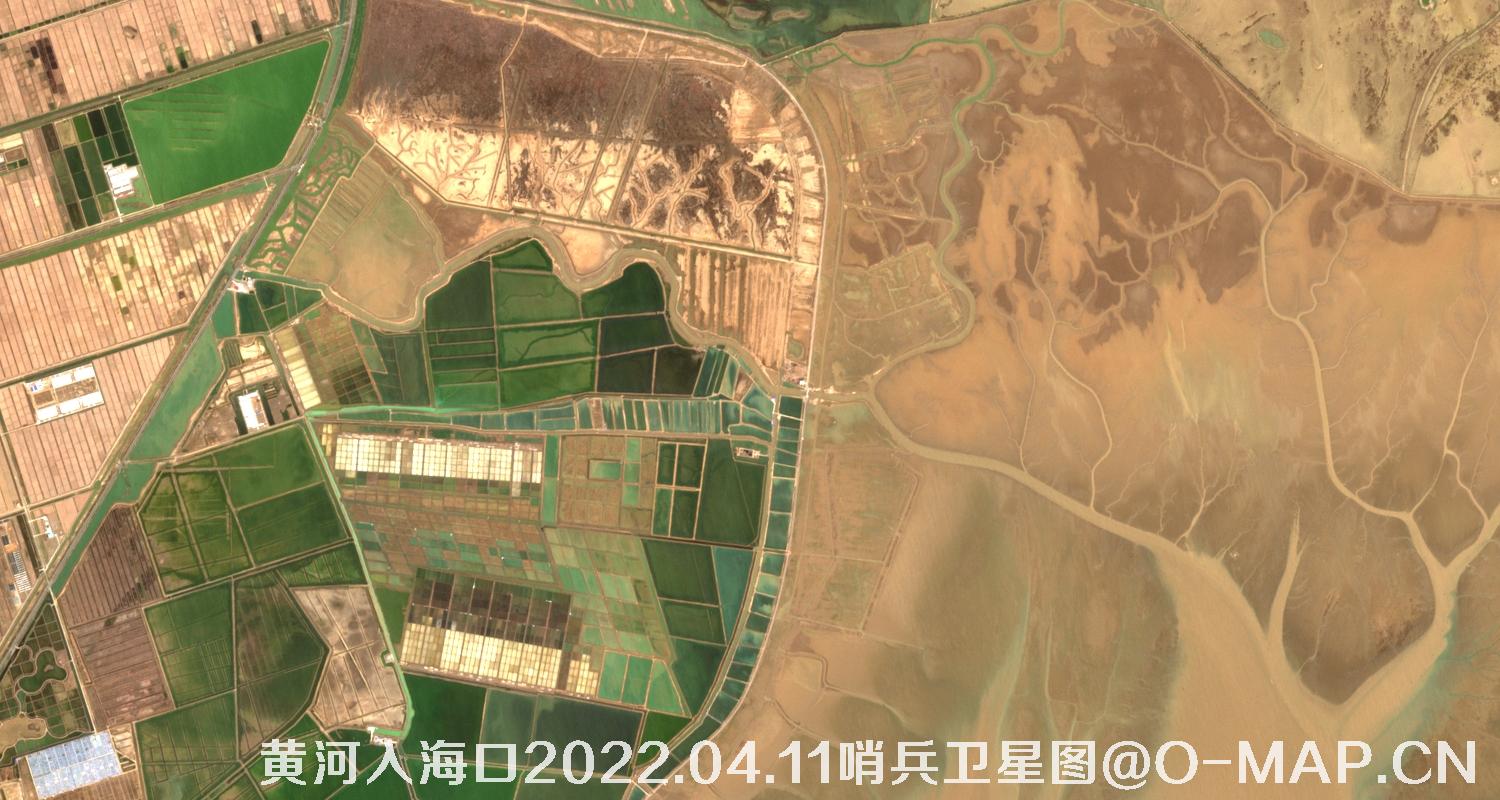 黄河入海口-山东省东营周边2022.04.11哨兵卫星图像