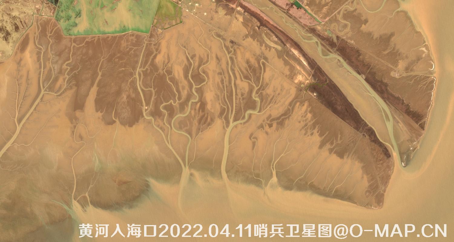 黄河入海口-山东省东营周边2022.04.11哨兵卫星图像