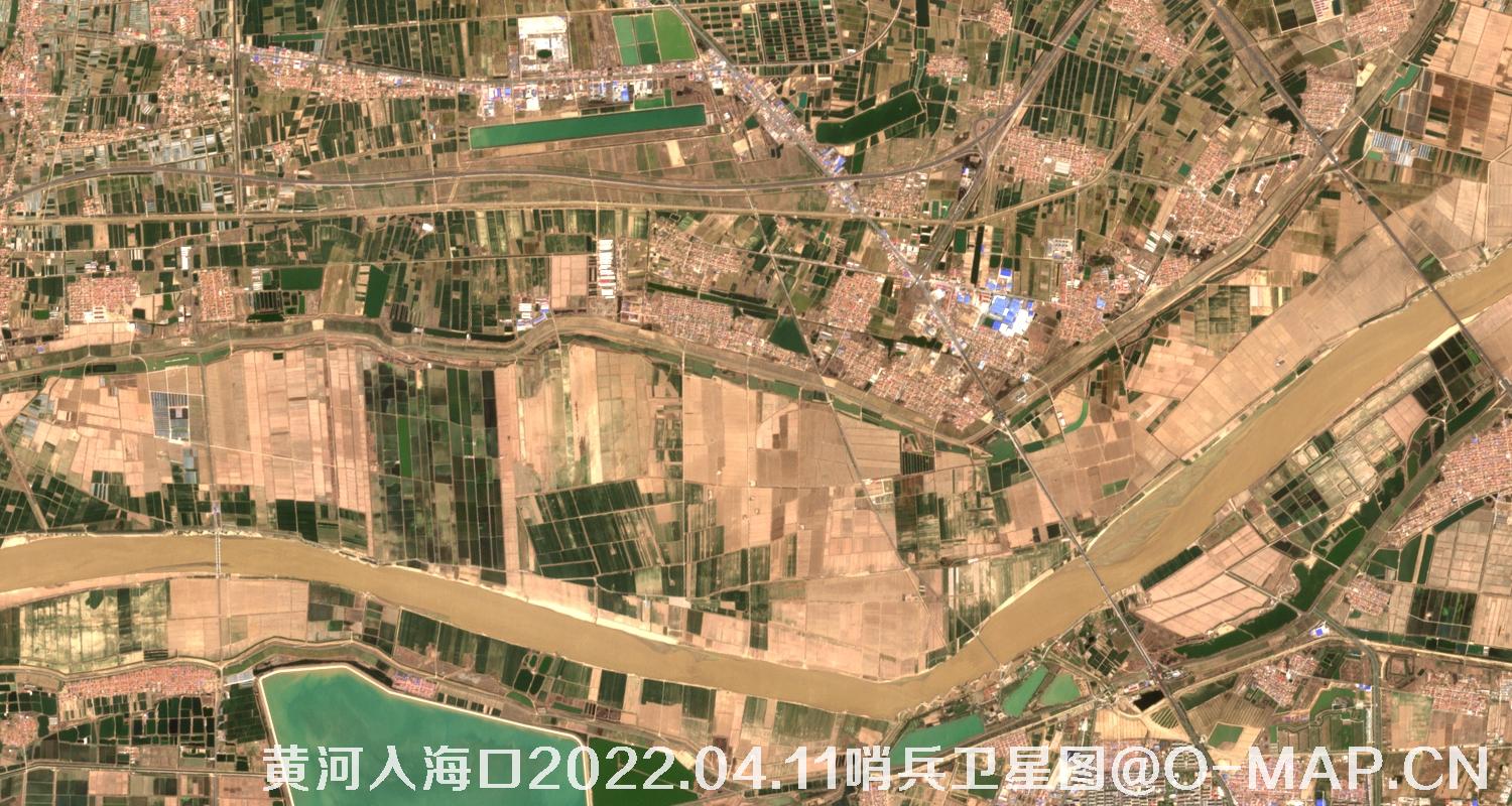 黄河入海口-山东省东营周边2022.04.11哨兵卫星图像