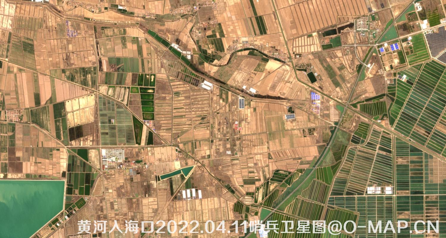 黄河入海口-山东省东营周边2022.04.11哨兵卫星图像