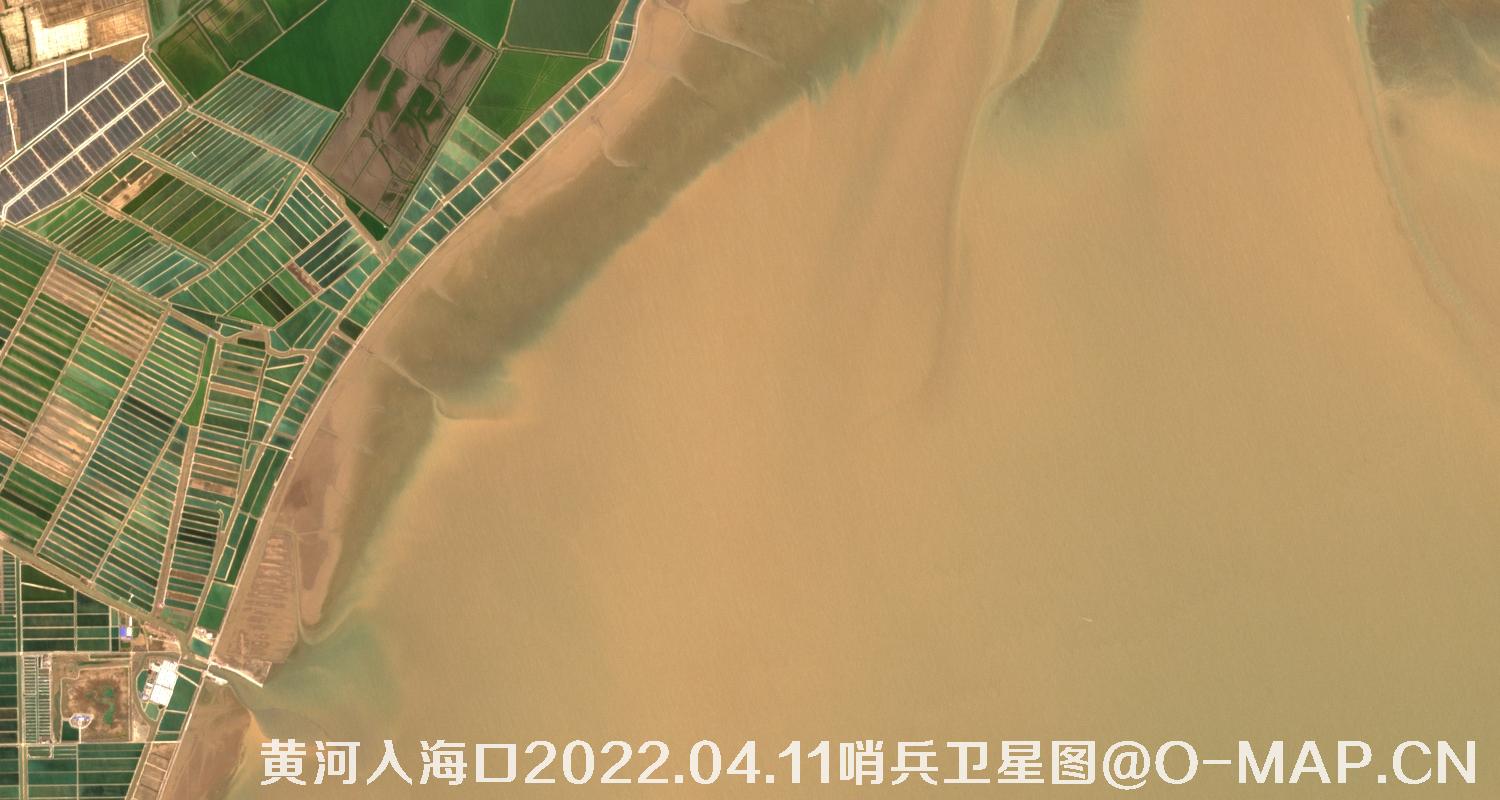 黄河入海口-山东省东营周边2022.04.11哨兵卫星图像