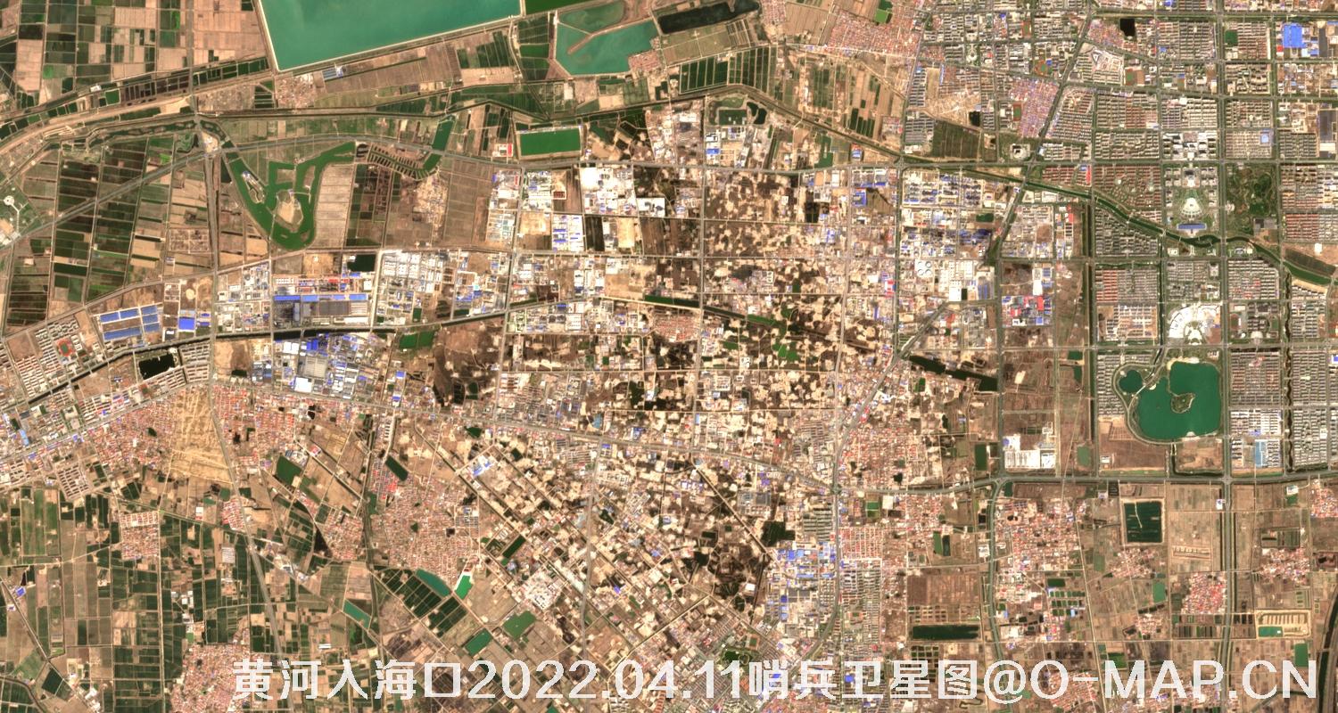 黄河入海口-山东省东营周边2022.04.11哨兵卫星图像