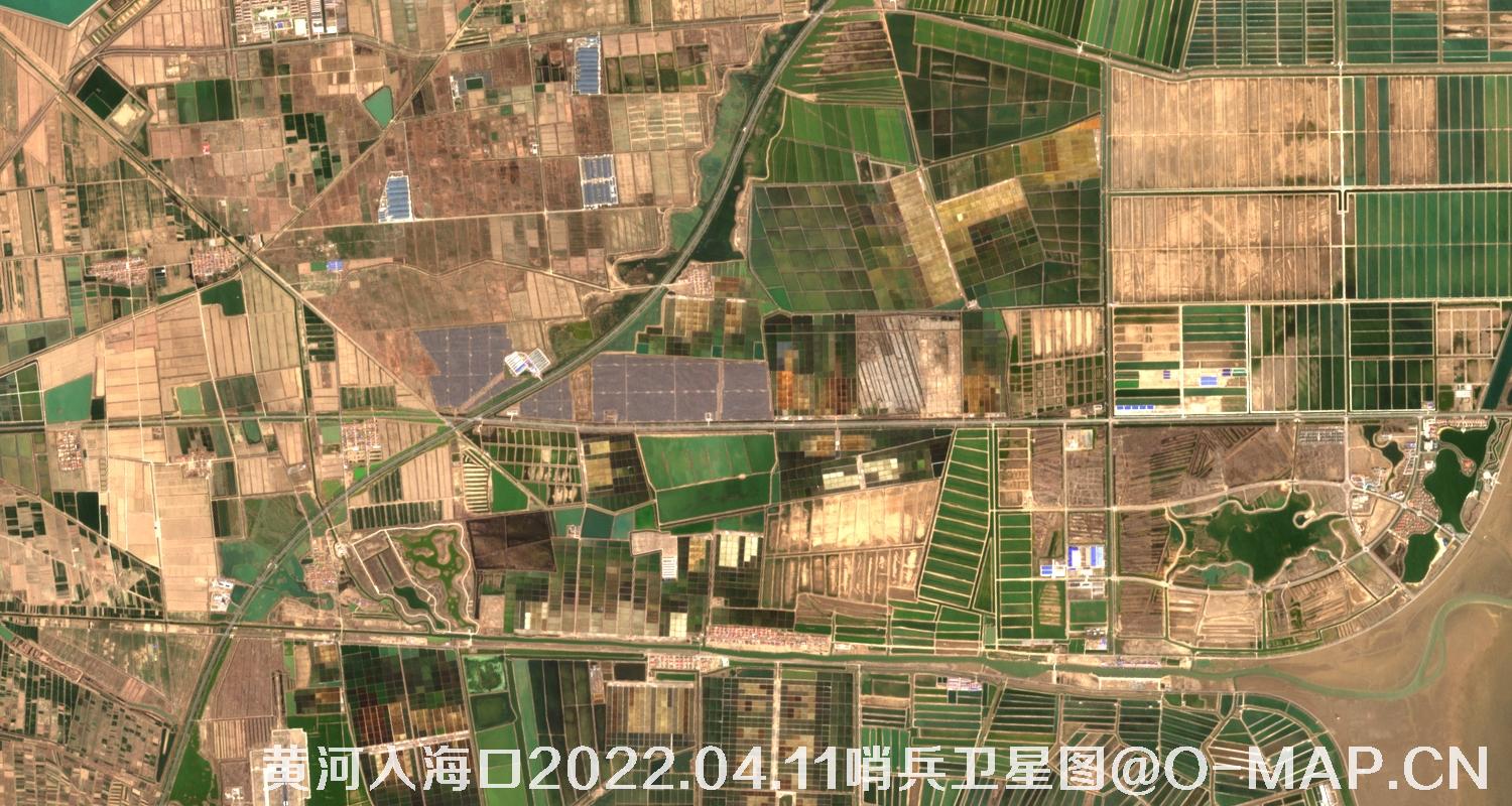 黄河入海口-山东省东营周边2022.04.11哨兵卫星图像