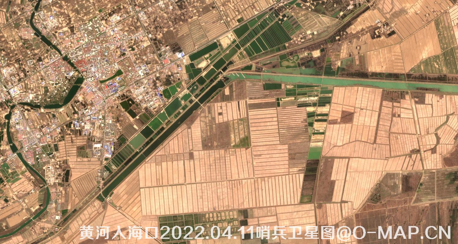 黄河入海口-山东省东营周边2022.04.11哨兵卫星图像