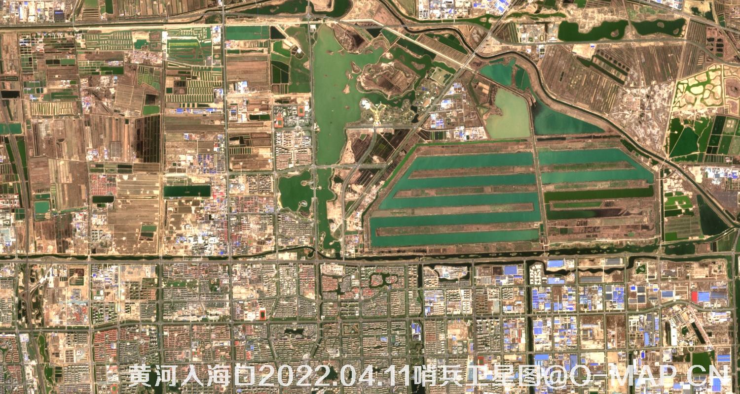 黄河入海口-山东省东营周边2022.04.11哨兵卫星图像