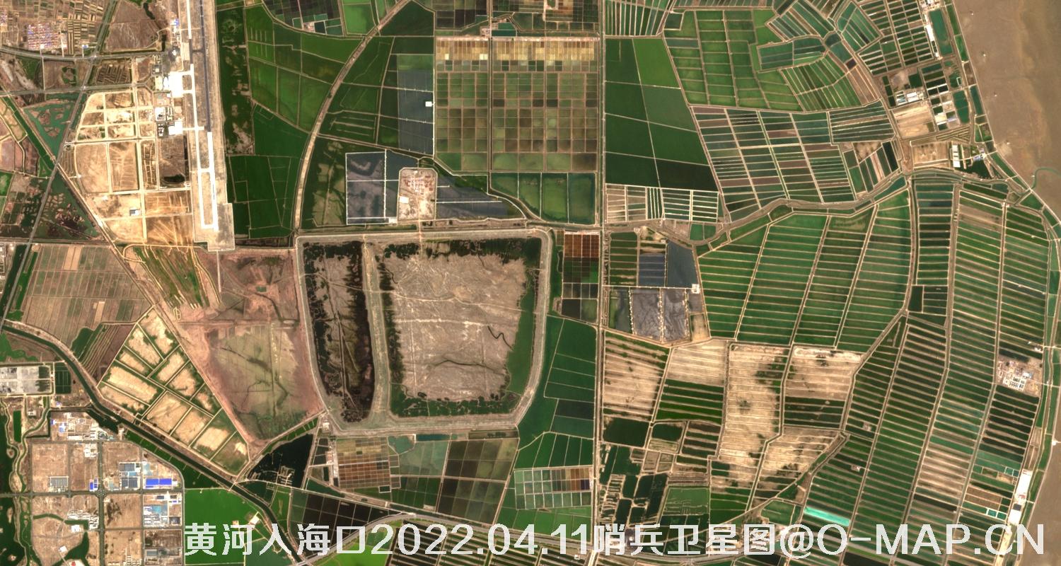 黄河入海口-山东省东营周边2022.04.11哨兵卫星图像