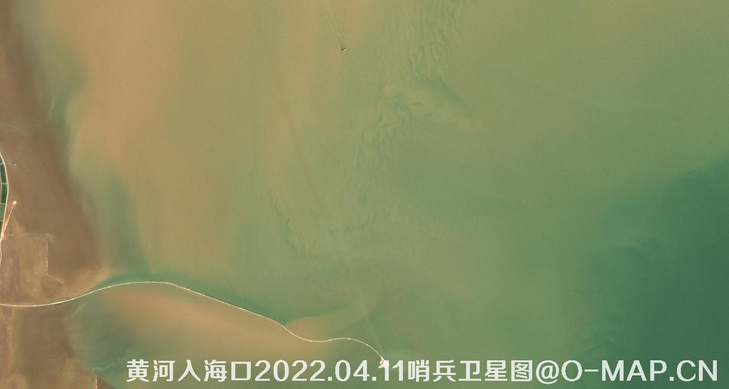 黄河入海口-山东省东营周边2022.04.11哨兵卫星图像