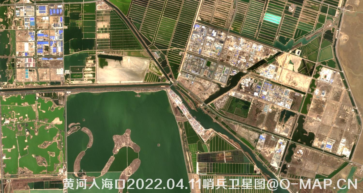 黄河入海口-山东省东营周边2022.04.11哨兵卫星图像