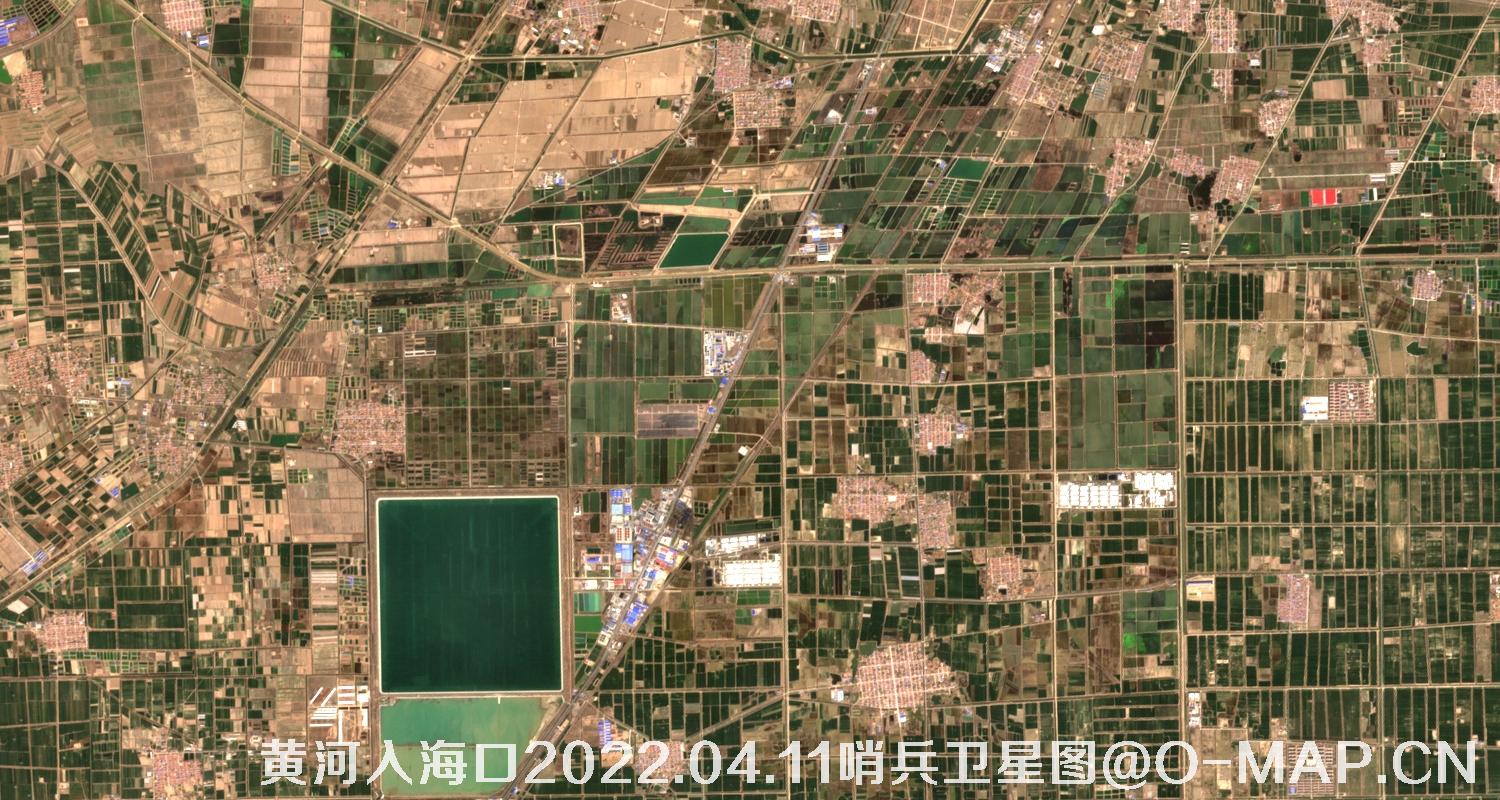 黄河入海口-山东省东营周边2022.04.11哨兵卫星图像