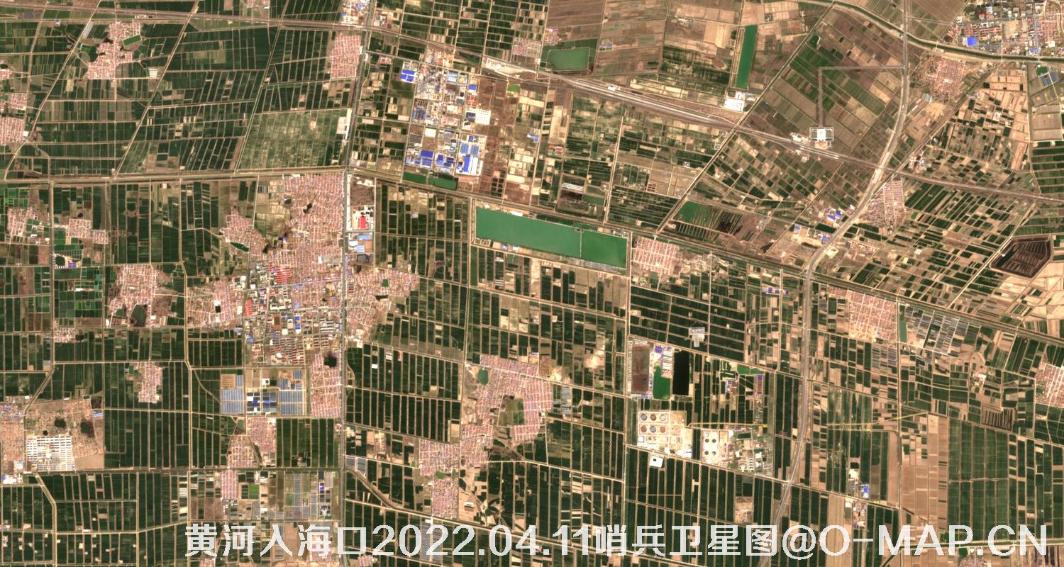 黄河入海口-山东省东营周边2022.04.11哨兵卫星图像
