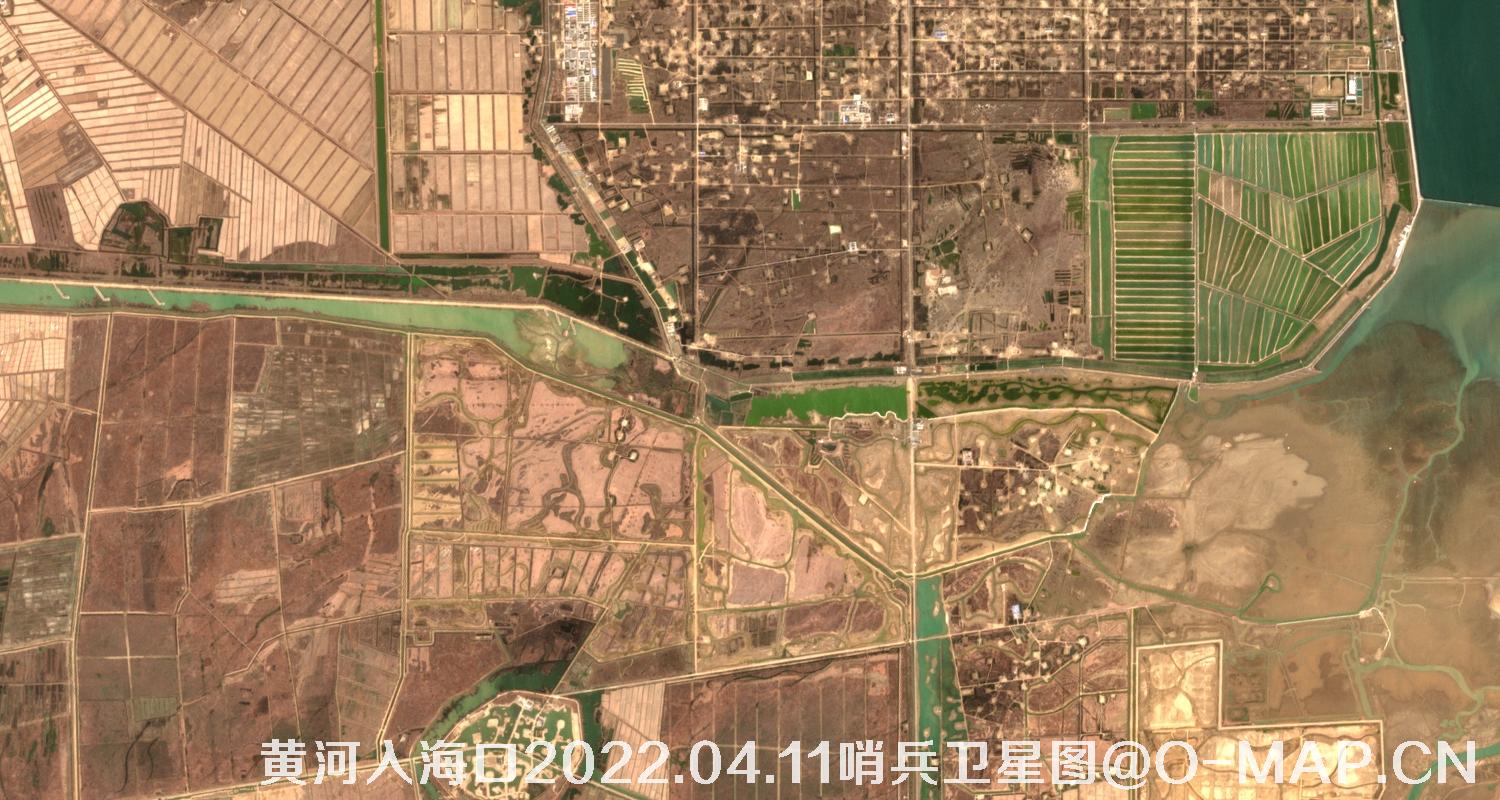 黄河入海口-山东省东营周边2022.04.11哨兵卫星图像