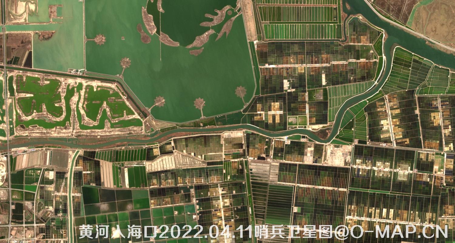 黄河入海口-山东省东营周边2022.04.11哨兵卫星图像