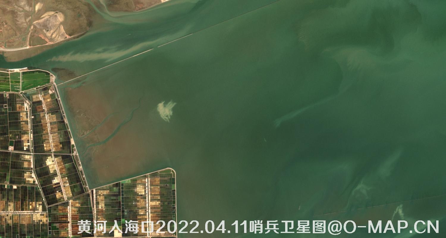 黄河入海口-山东省东营周边2022.04.11哨兵卫星图像