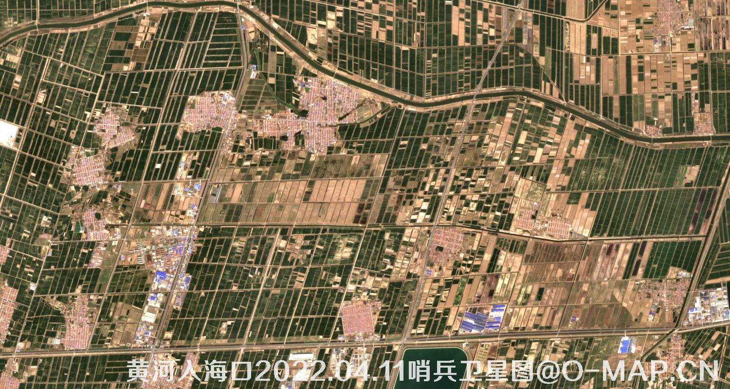 黄河入海口-山东省东营周边2022.04.11哨兵卫星图像
