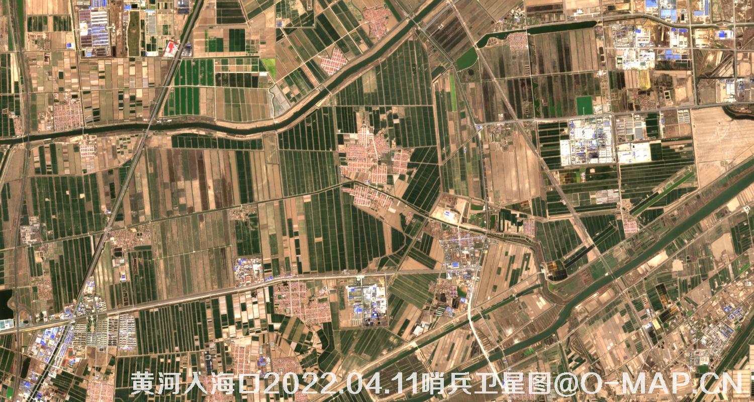 黄河入海口-山东省东营周边2022.04.11哨兵卫星图像