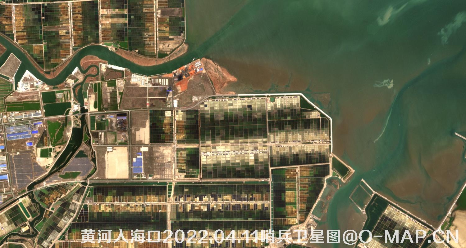 黄河入海口-山东省东营周边2022.04.11哨兵卫星图像
