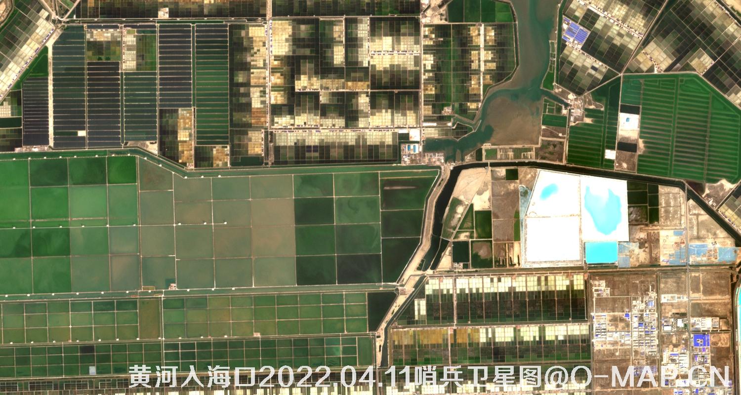 黄河入海口-山东省东营周边2022.04.11哨兵卫星图像