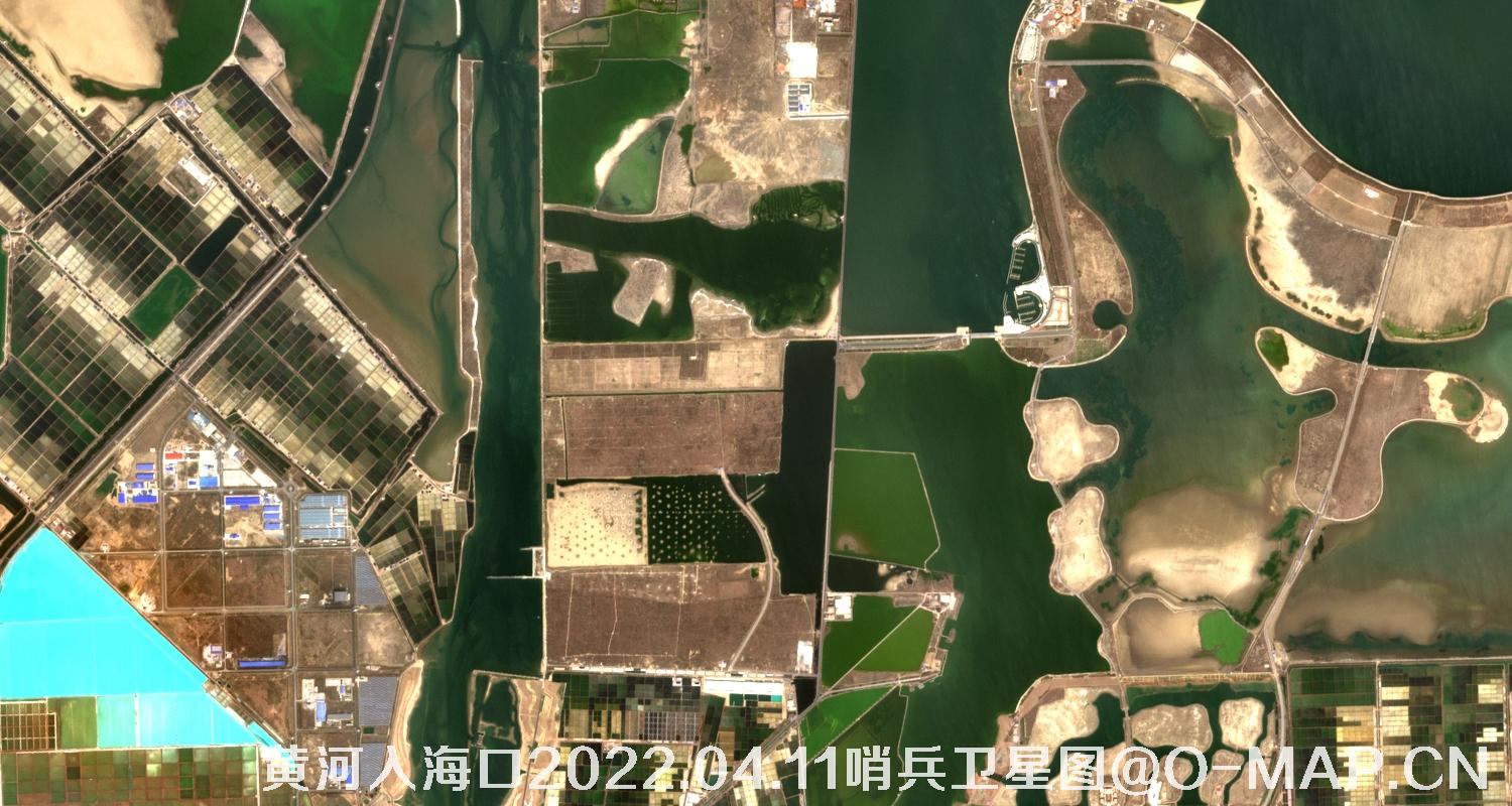 黄河入海口-山东省东营周边2022.04.11哨兵卫星图像