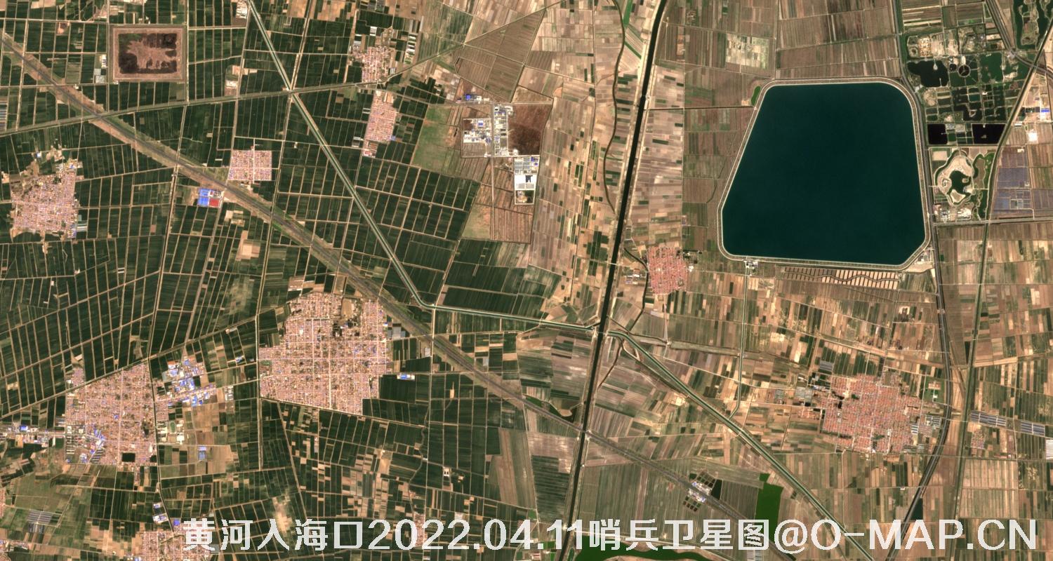 黄河入海口-山东省东营周边2022.04.11哨兵卫星图像