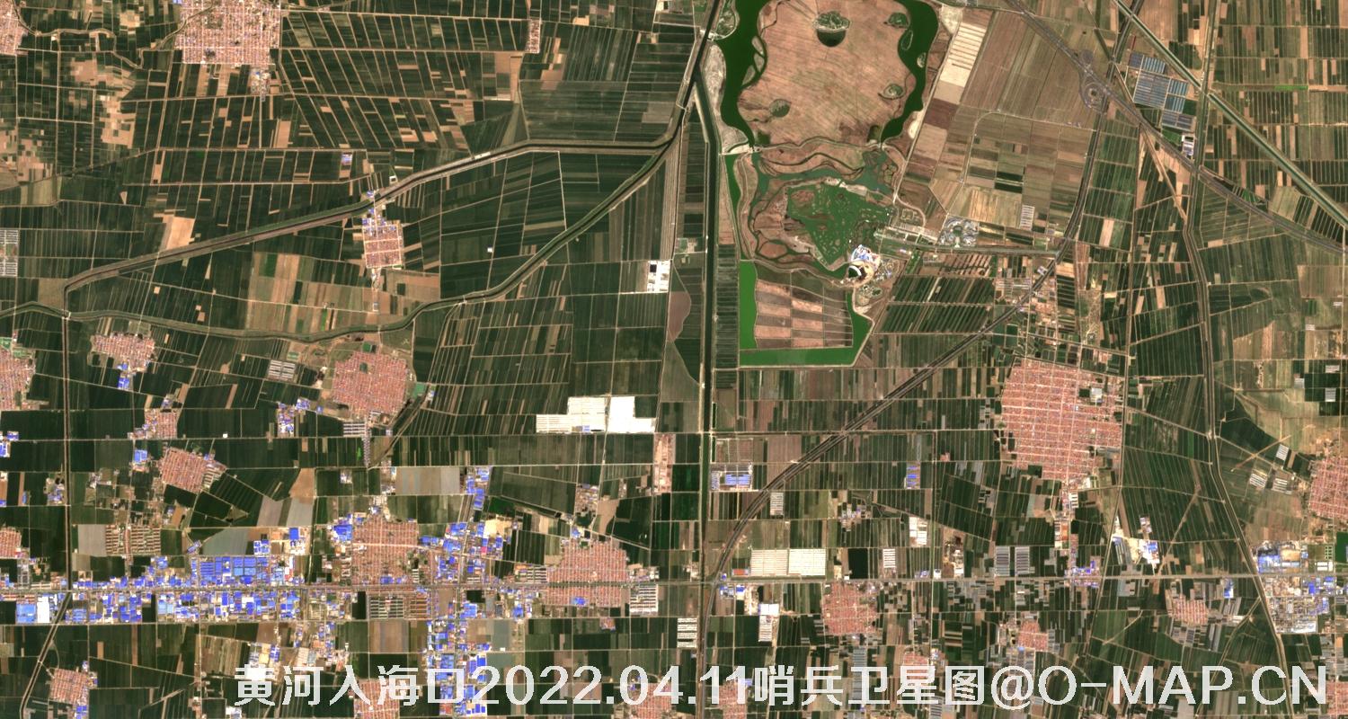 黄河入海口-山东省东营周边2022.04.11哨兵卫星图像