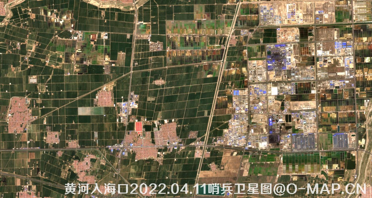 黄河入海口-山东省东营周边2022.04.11哨兵卫星图像