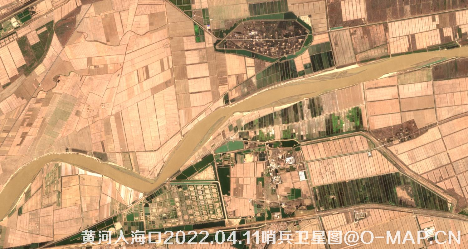 黄河入海口-山东省东营周边2022.04.11哨兵卫星图像