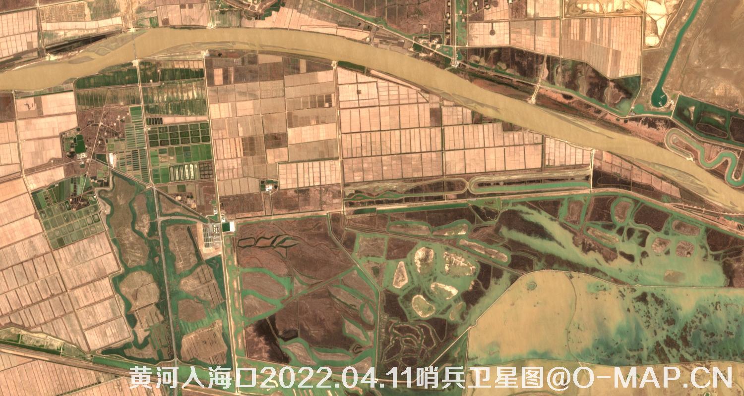 黄河入海口-山东省东营周边2022.04.11哨兵卫星图像