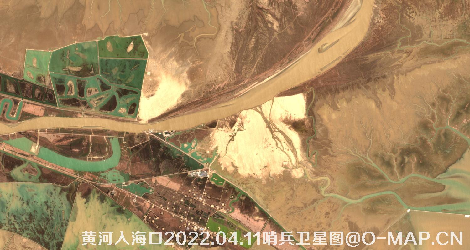 黄河入海口-山东省东营周边2022.04.11哨兵卫星图像