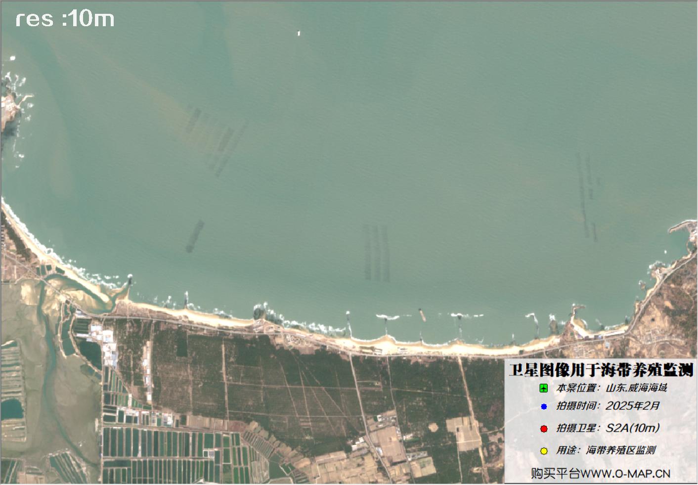 10米哨兵卫星2025年2月拍摄的威海荣成海带养殖区卫星图像