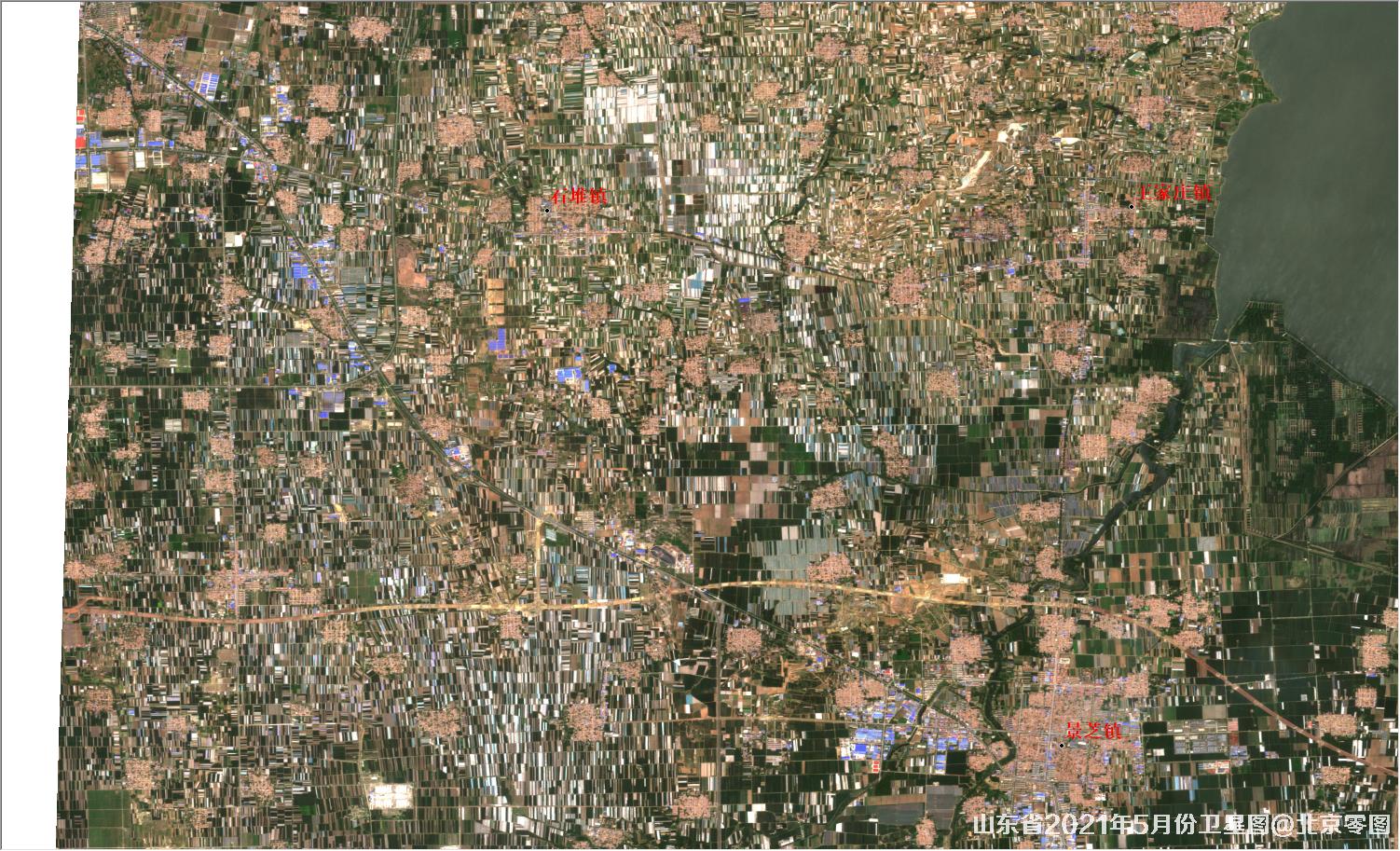 山东省2021年最新卫星图