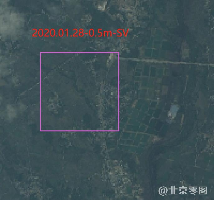 2020年1月份水稻生长周期卫星影像图（预览图）