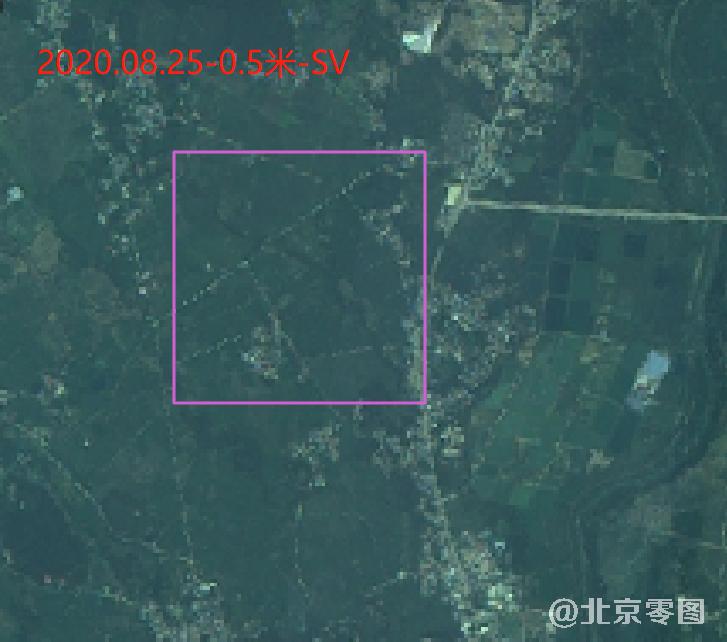 2020年8月份水稻生长周期卫星影像图（预览图）
