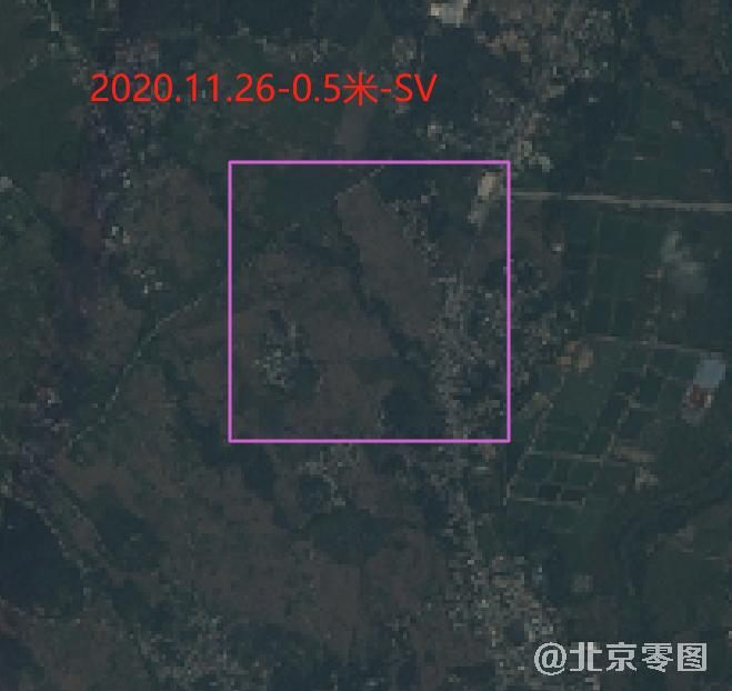 2020年11月份水稻生长周期卫星影像图（预览图）