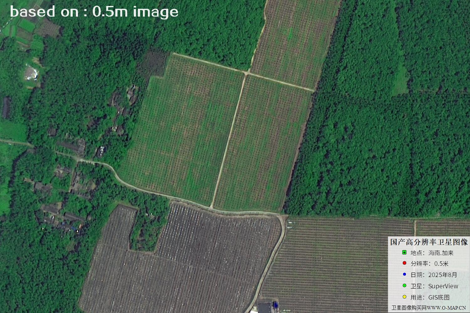 海南加来2025年最新0.5米分辨率卫星图像