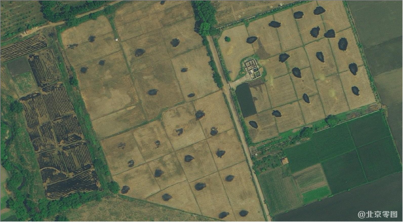 高景卫星拍摄的0.5米分辨率卫星图-收割的麦田