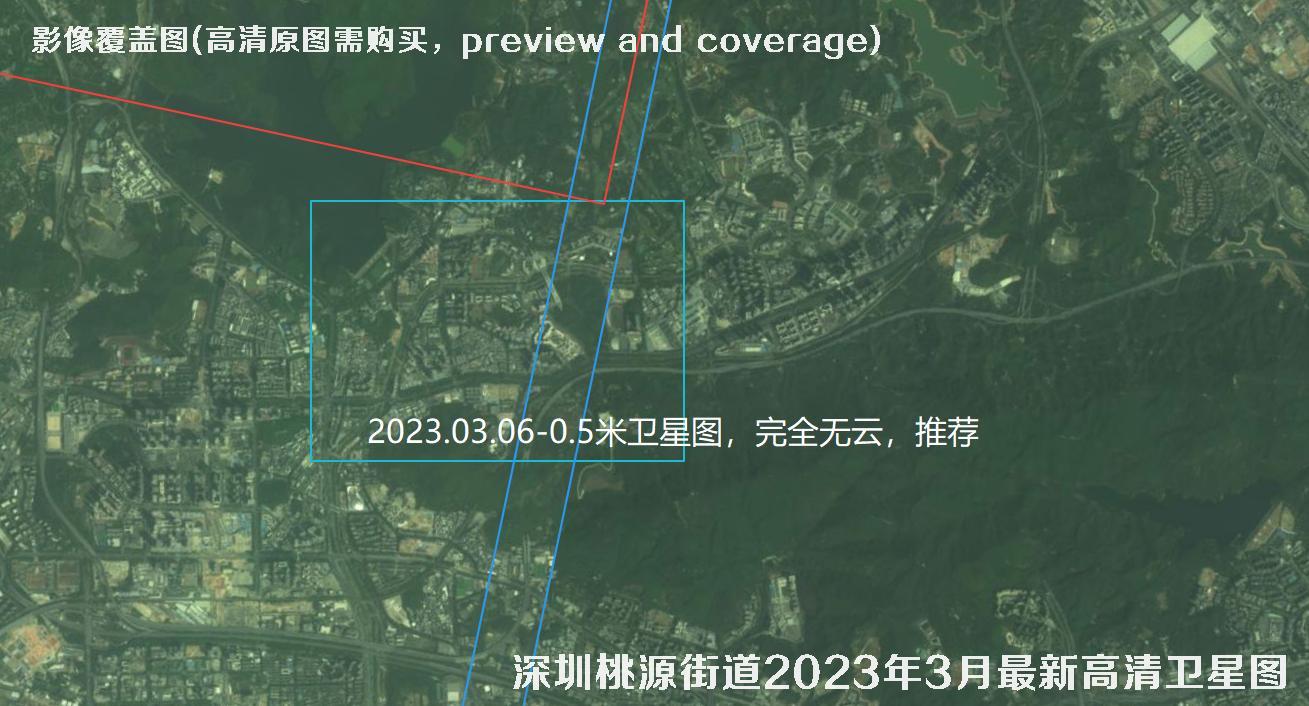 广东省深圳桃源街道2023年【4月份-3月份】最新高清卫星影像图