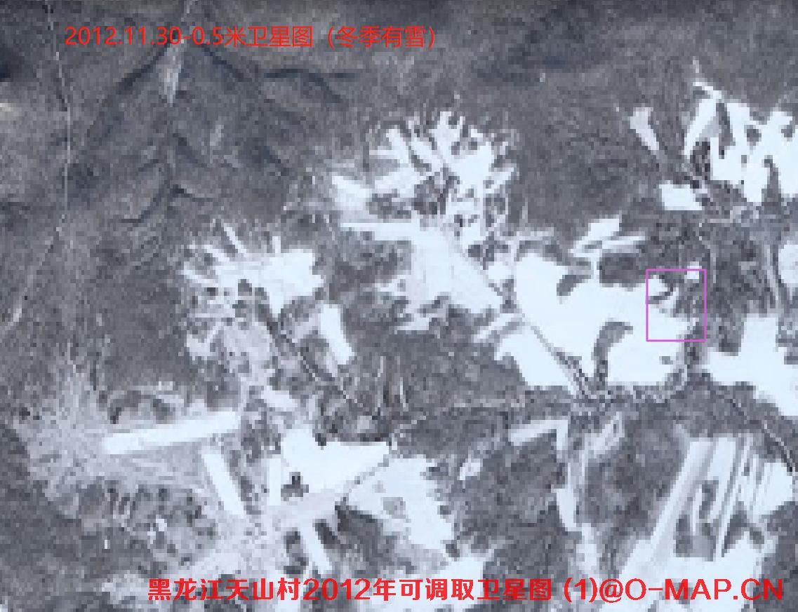 黑龙江逊克县天山村2012年土地纠纷卫星图