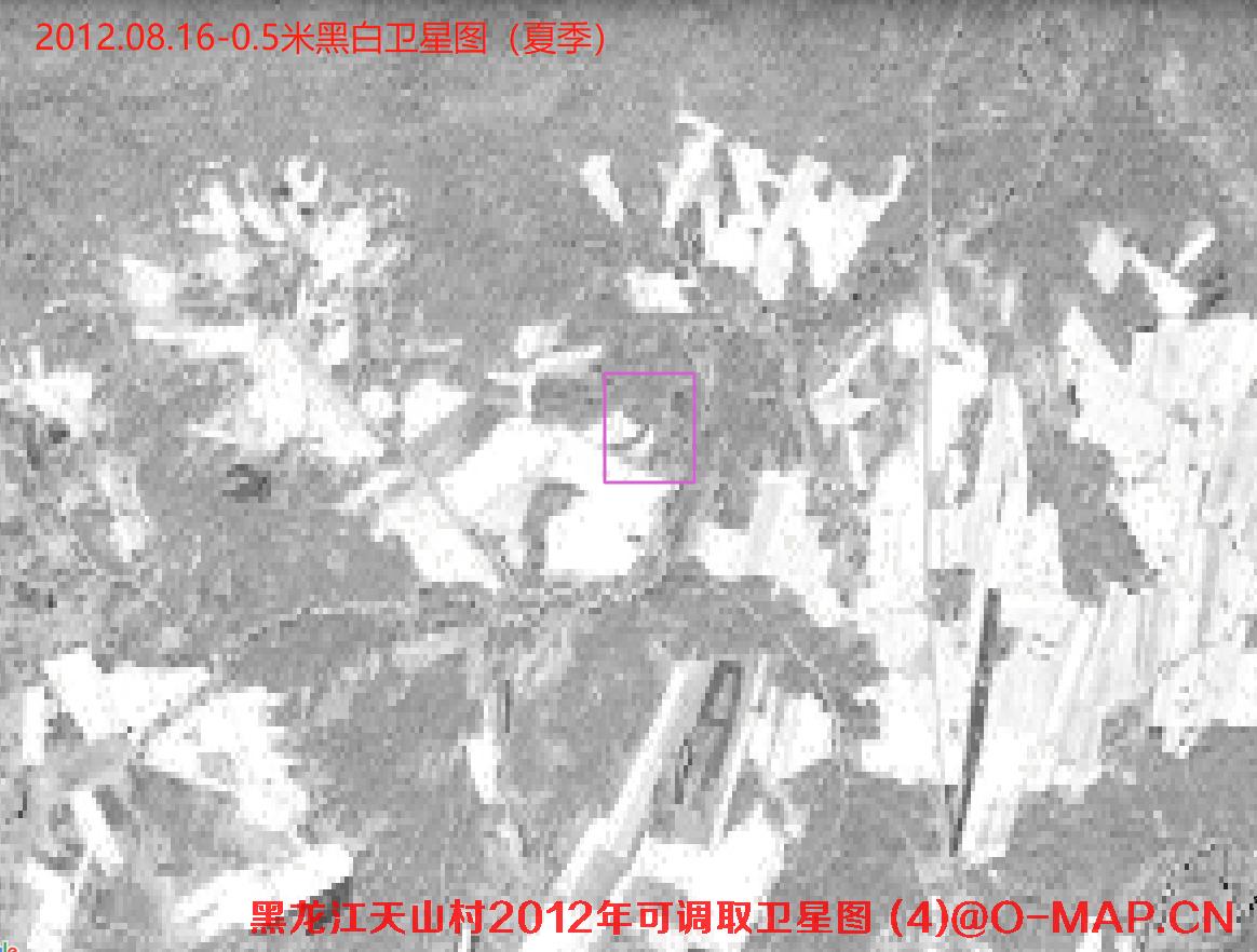 黑龙江逊克县天山村2012年土地纠纷卫星图
